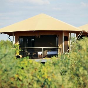 Garden View Eco Tent